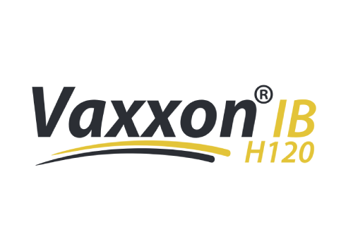 VAXXON IB H120 2000 DOSES (BRONQUITE)