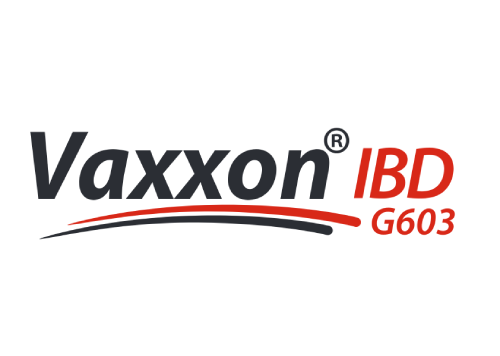 VAXXON IBD G603 (GUMBORO) 2000 DOSES
