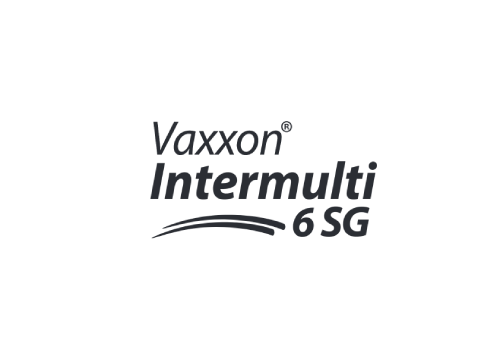 VAXXON INTERMULTI 6 SG