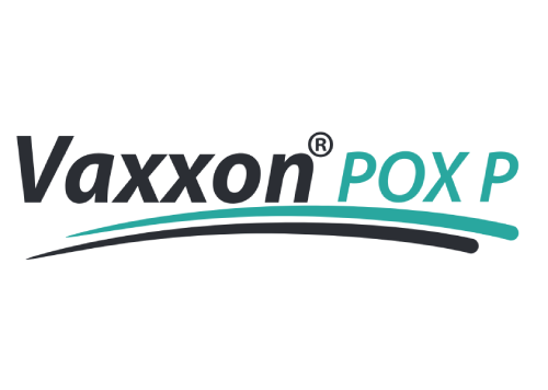 VAXXON POX P (BOUBA FORTE) 1000 DOSES