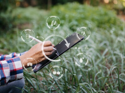 Woman hands gardening lettuce in farm with growth process and Woman hands gardening lettuce in farm with growth process and chemical formula on green background. With visual icon